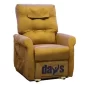 Days Healthcare Sofia Electric Recliner Lift Chair